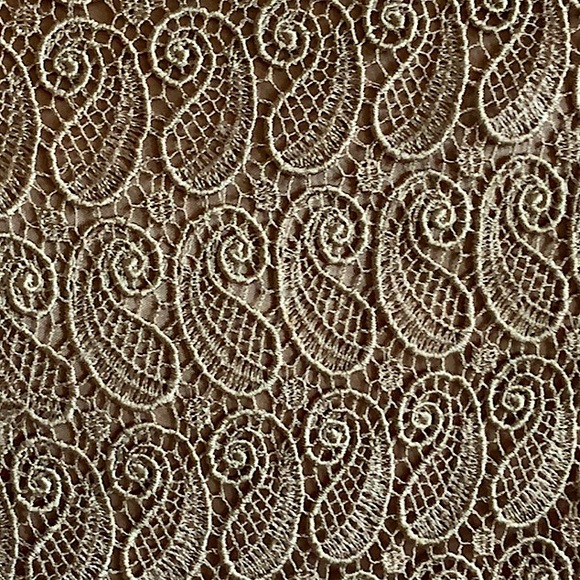 Short Sleeve Lace Top - Picture 13 of 13